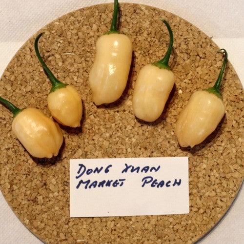 Peper 'Dong Xuan Market Peach'