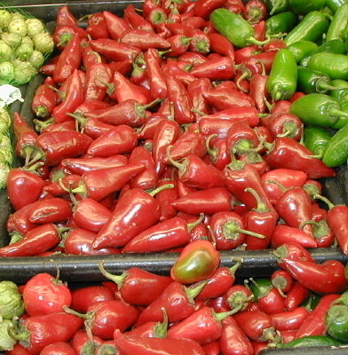 Pepper 'Fresno'