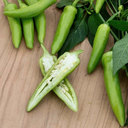 Pepper 'Gusto Green' F1