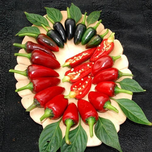 Peper 'Hungarian Black'