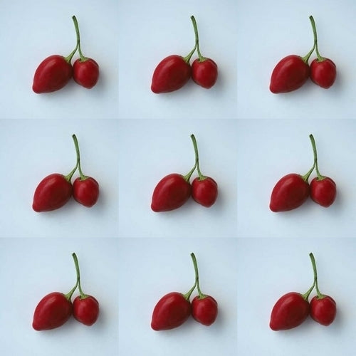 Peper 'Inca Red Drop'