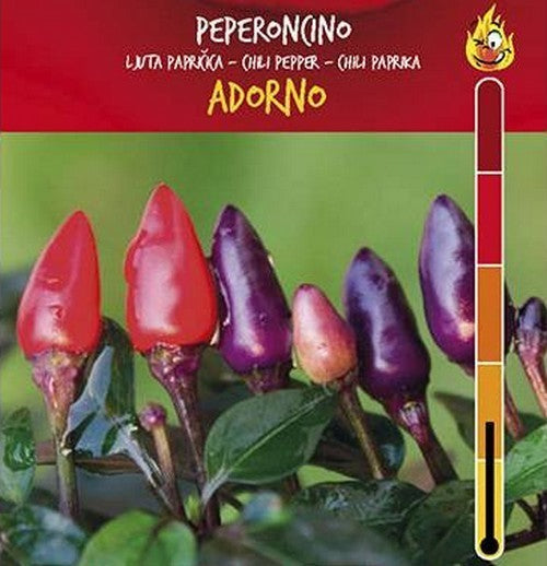 Pepper 'Italiano Adorno'