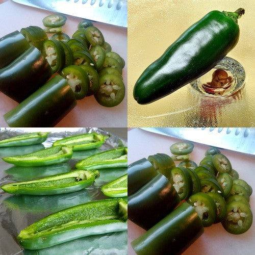 Peper 'Jalapeño Gigantia' / 'Jalapeno Jalastar'