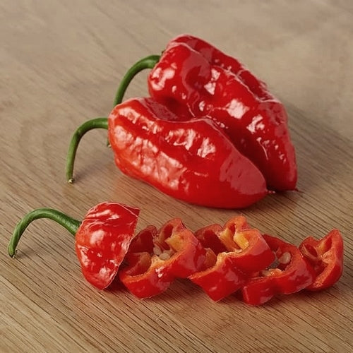 Pepper 'Komodo Dragon'