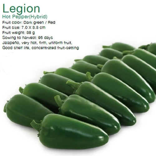 Pepper 'Legion' F1 Hybrid