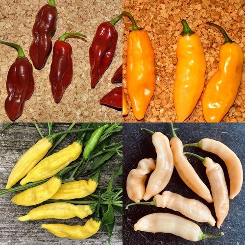Peper 'Limòn Colormix'