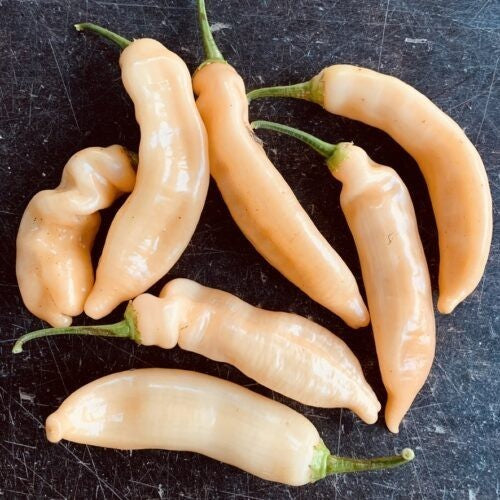 Peper 'Limòn Colormix'