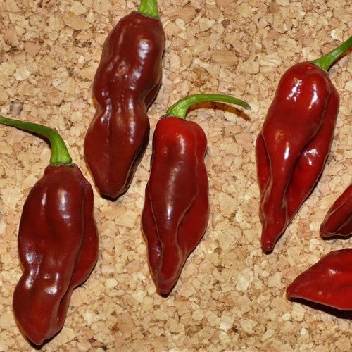 Peper 'Limòn Colormix'
