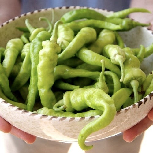 Peper 'Lunga Sigaretta Biondo' / 'Sigaretta Verde di Bergamo'