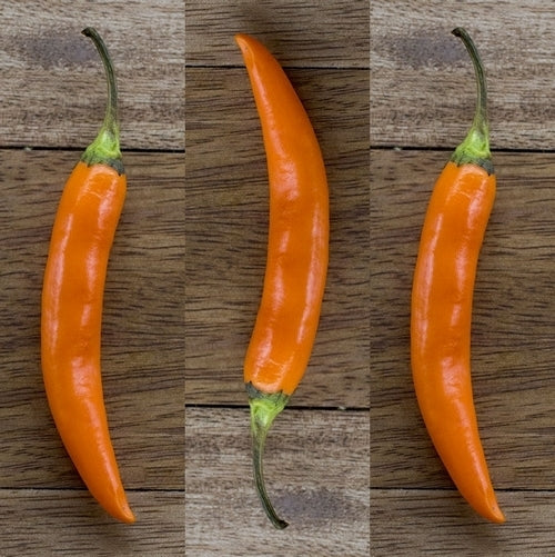 Peper 'Nepali Orange'