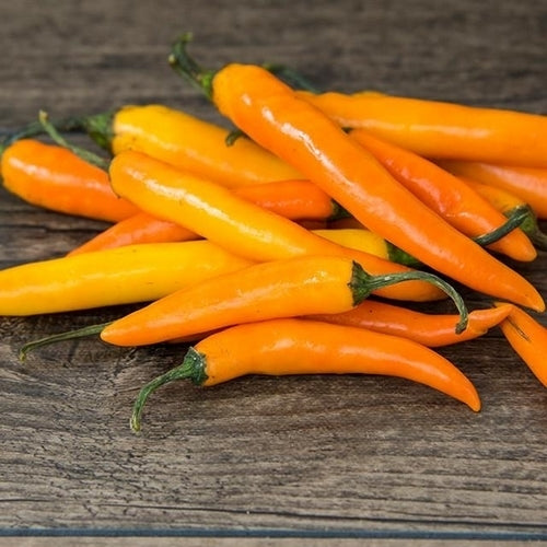 Peper 'Orange Thai' / 'Thai Orange'