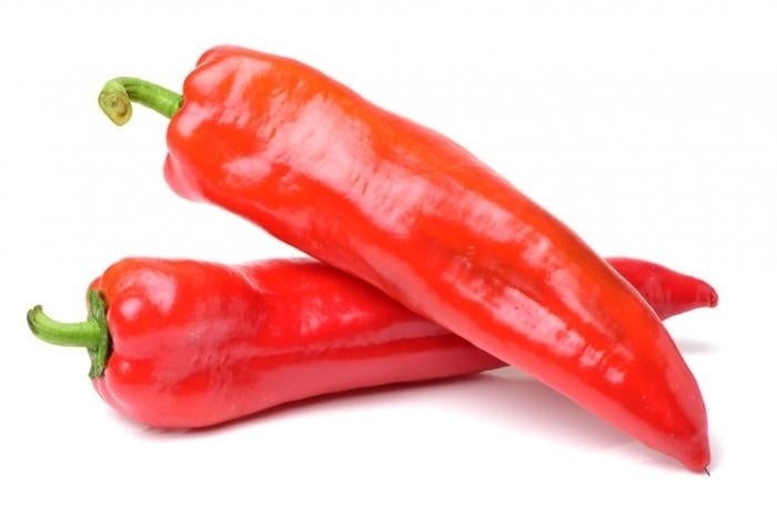 Peper 'Peperone de Eusebio' / 'Pepperoni de Eusebio'