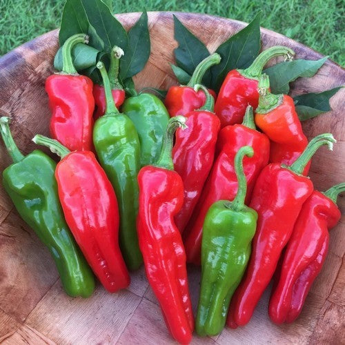 Peper 'Peperone Friariello' / 'Friariello di Nocera' / 'Pepe'