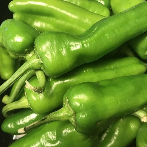 Peper 'Peperone Friariello' / 'Friariello di Nocera' / 'Pepe'