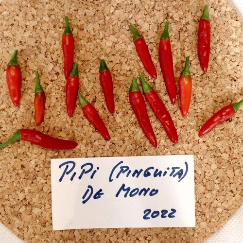 Peper 'Pipi de Mono' / 'Pinguita de Mono'