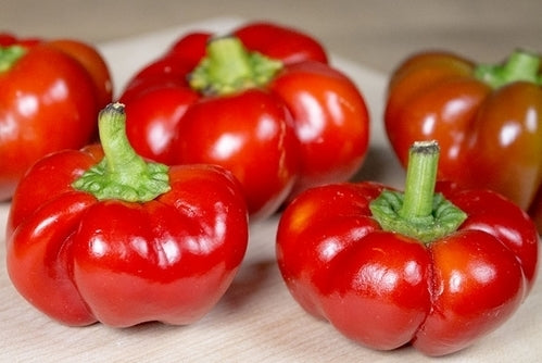 Peper 'Pumpkin Chili'