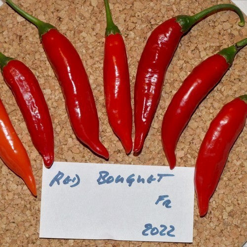 Pepper 'Red Bouquet'