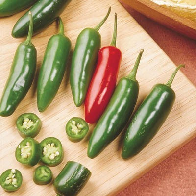 Peper 'Serrano'