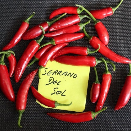 Pepper 'serrano Del Sol'