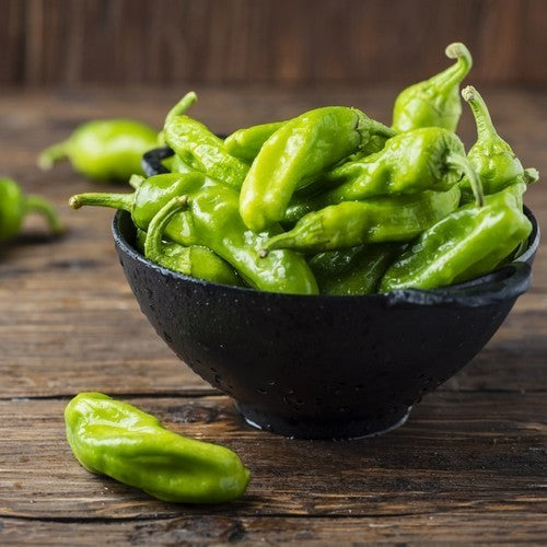 Pepper 'sweet Italian Pepper' / 'Friggitello'
