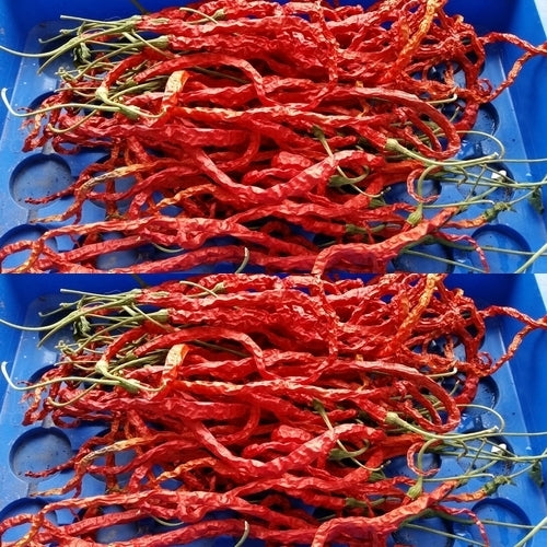 Peper 'Thunder Mountain Longhorn'