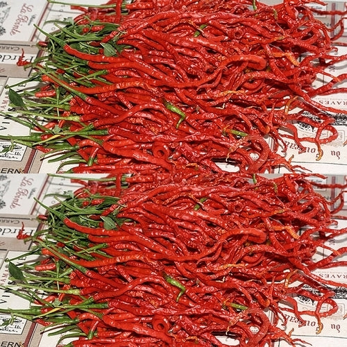Peper 'Thunder Mountain Longhorn'