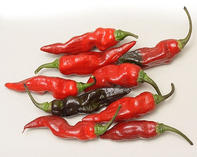 Peper 'Volcan de Tenegua'
