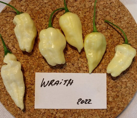 Pepper 'Wraith'