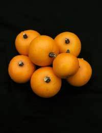 Pompoenen 'Baby Orange' / 'Little October'