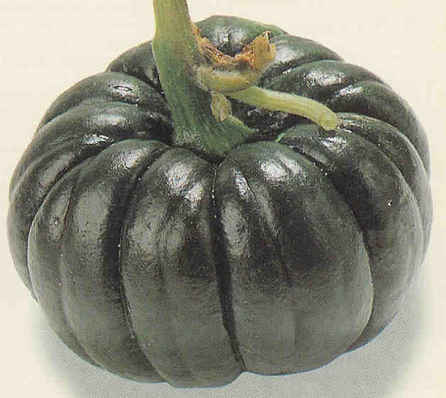 Pompoenen 'Bizen Chirimen' / 'Yokohama Churimen'