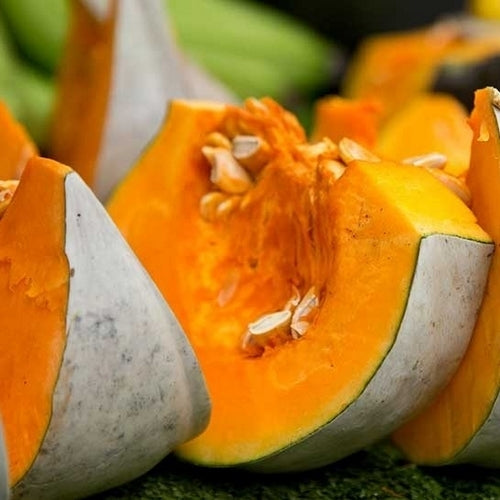 Pumpkins 'Blue Hungarian' / 'Nagydobosi Süttök'