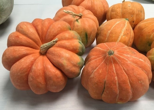 Pumpkins 'Boliviana'