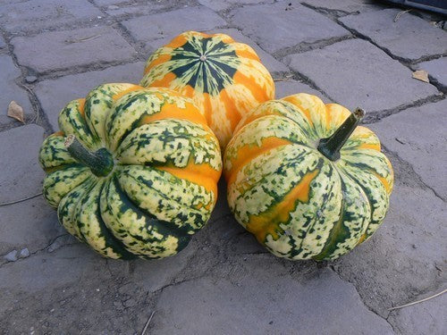 Pumpkins 'Celebration' F1