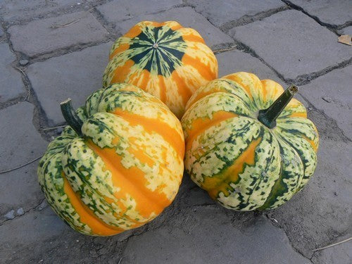 Pumpkins 'Celebration' F1