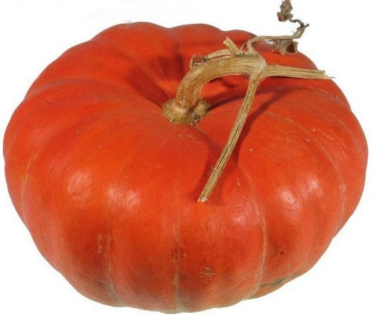 Pompoenen 'Garbo'