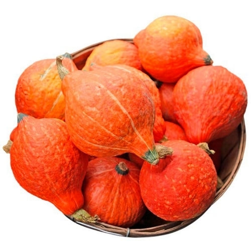 Pumpkins 'Golden Delicious'