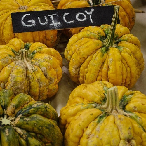 Pompoenen 'Guicoy'