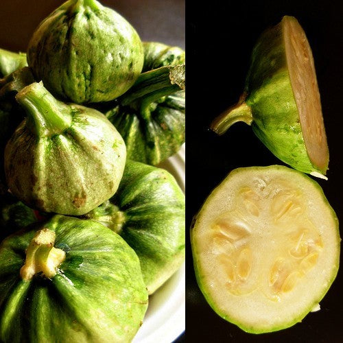 Pompoenen 'Guicoy'