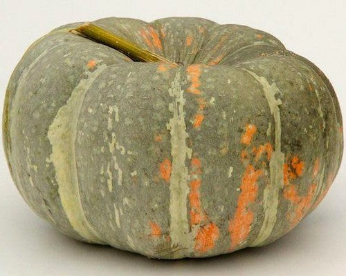 Pumpkins 'Iran'