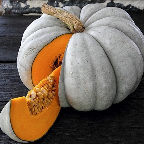 Pumpkins 'Kestane Kabagi' / 'Kestane Kabağı'