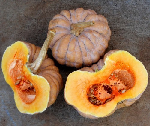 Pompoenen 'Kikuza'