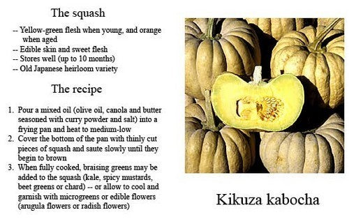 Pompoenen 'Kikuza'