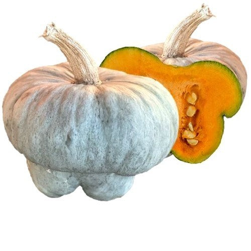 Pompoenen ‘Mantovana Cappello Del Prete’