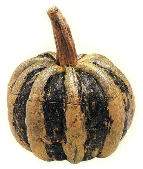 Pompoenen 'Mongogo de Guatemala'