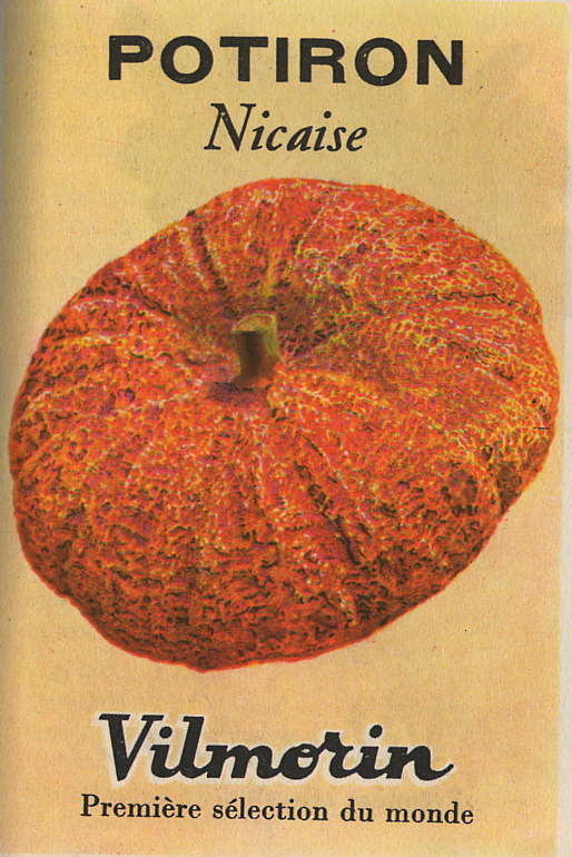 Pompoenen 'Nicaise' / 'Longue de Nice'