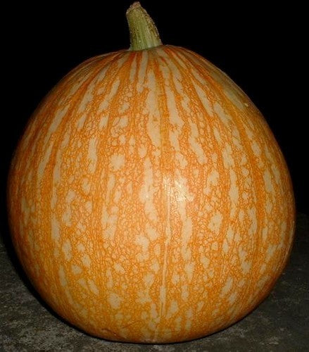 Pumpkins 'One Too Many'