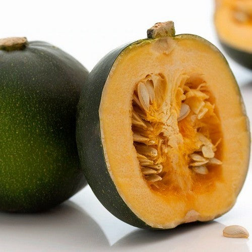 Pompoenen ‘Rolet’ / (Rondini-Type)