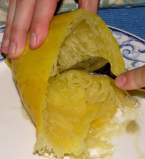 Pumpkins 'Spaghetti' / 'Vegetable Spaghetti'