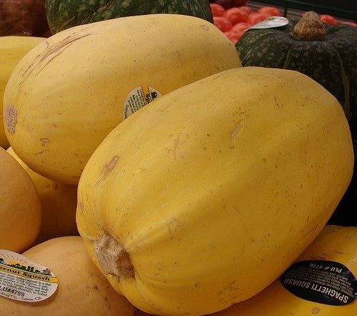 Pumpkins 'Spaghetti' / 'Vegetable Spaghetti'