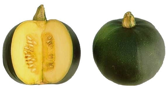 Pompoenen ‘Star 8001' F1'’